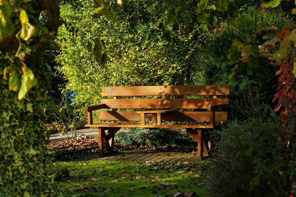 garden bench, fall, wooden bench-3786643.jpg